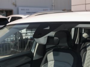 2023300TSI APlusMA (ji)^