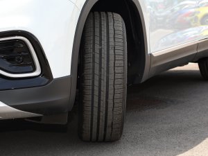 2023300TSI APlusMA (ji)^