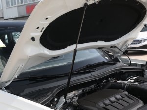 2023380TSI (q)Şǻ۰ 