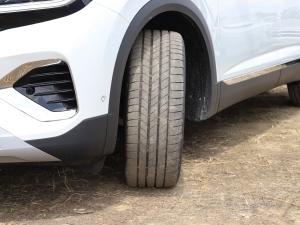 2022530TSI ŞپPro 6 ^