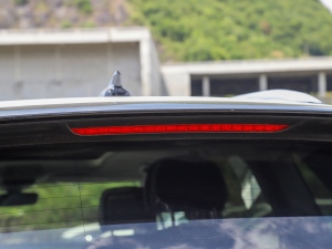 2022530TSI ŞپPro 6 ^