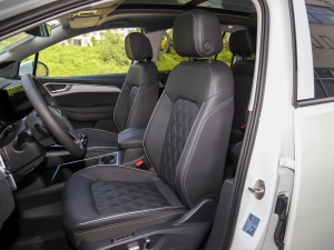 2022款530TSI 四驱旗舰胜境版Pro 6座 主驾驶座椅
