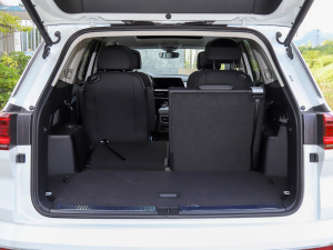 2022530TSI (q)ŞپPro 6 g