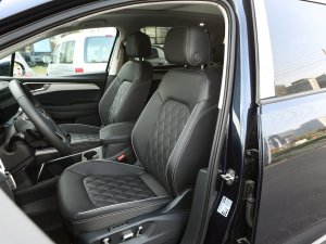 2022款530TSI 四驱旗舰胜境版Pro 7座 主驾驶座椅