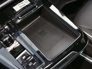 2022530TSI ŞپPro 7 g