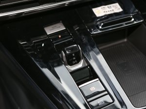 2022款530TSI 四驱旗舰胜境版Pro 7座 换挡杆