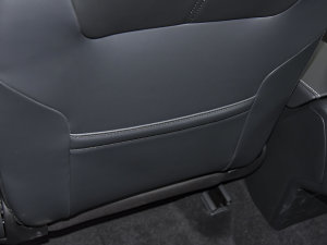 2023280TSI DSG Pro g