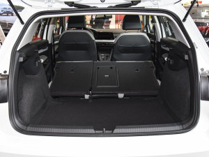 2023280TSI DSG Pro g