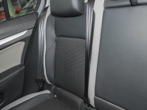 2023Ŀ 280TSI DSG Pro g