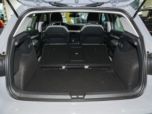 2023Ŀ 280TSI DSG Pro g