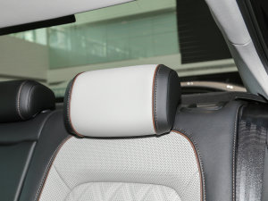 2023200fvo 330TSI DSGA g