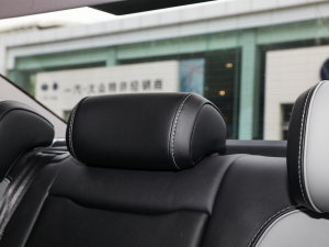 2023200fvo 330TSI DSGI g