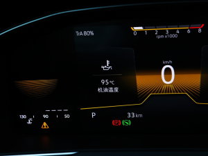 2023200fvo 330TSI DSGI(lng) п؅^(q)