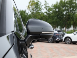 2023Ŀ 530TSI ŞپPro 6 ^