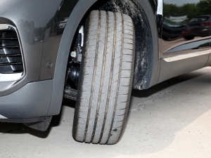 2023Ŀ 530TSI ŞپPro 6 ^