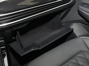 2023Ŀ 530TSI (q)ŞپPro 6 