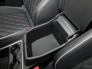 2023Ŀ 530TSI ŞپPro 6 g