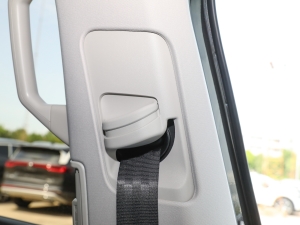 2023Ŀ 530TSI ŞپPro 6 g