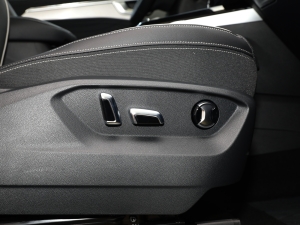 2023Ŀ 530TSI ŞپPro 6 g