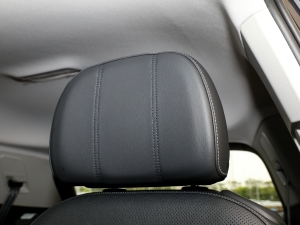 2023Ŀ 530TSI ŞپPro 6 g