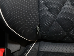 2023Ŀ 530TSI ŞپPro 6 g