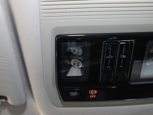 2023Ŀ 530TSI ŞپPro 6 п؅^