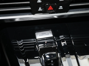 2023Ŀ 530TSI ŞپPro 6 п؅^