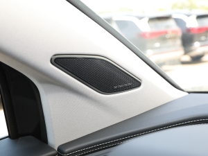 2023Ŀ 530TSI ŞپPro 6 п؅^