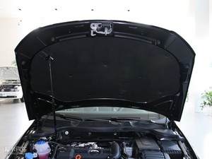 20111.4T DSG(bio)(zhn) 