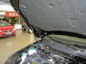 20111.4T DSG(bio)(zhn) 