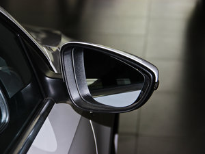 2014款1.4TSI 蓝驱型 细节外观