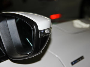 2014款1.4TSI 蓝驱型 细节外观