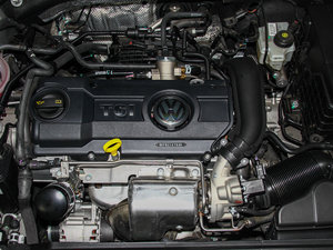 2014款1.4TSI 自动豪华型 发动机