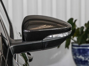 2015款2.0TSI 尊贵型 后视镜