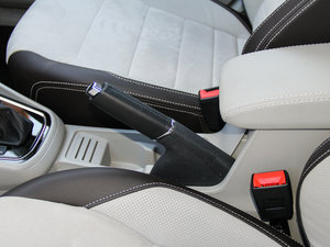 2016230TSI DSGA v܇Ƅ