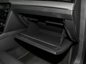 2018280TSI DSG I(lng) 