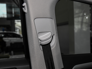 2018280TSI DSG I(lng) g