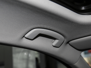 2018280TSI DSG I(lng) g