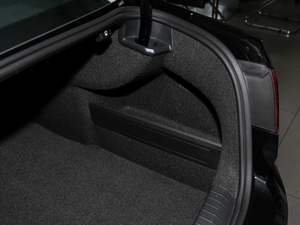 2018280TSI DSG I(lng) g