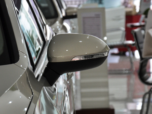 2018款330TSI DSG 尊贵型 后视镜