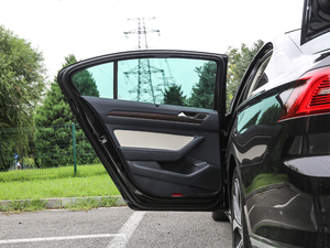 2018款380TSI DSG 旗舰型 左后车门