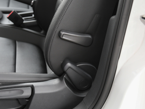 2018280TSI DSGڄӰ g