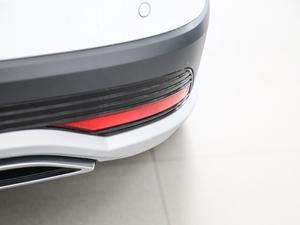 2018230TSI DSGm (ji)^