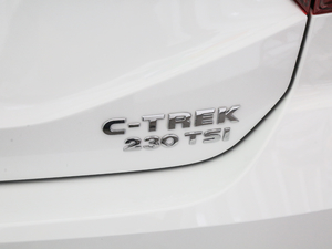 2018230TSI DSGm (ji)^