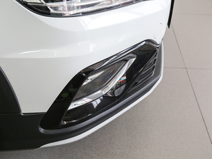 2018230TSI DSGm (ji)^