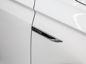 2018230TSI DSGm (ji)^