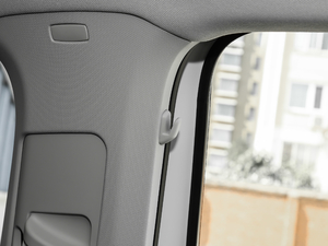 2018230TSI DSG(q)r(sh) g