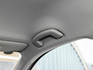 2018230TSI DSG(q)r(sh) g