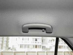 2018230TSI DSG(q)r(sh) g