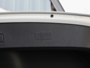 2018230TSI DSG(q)r(sh) g